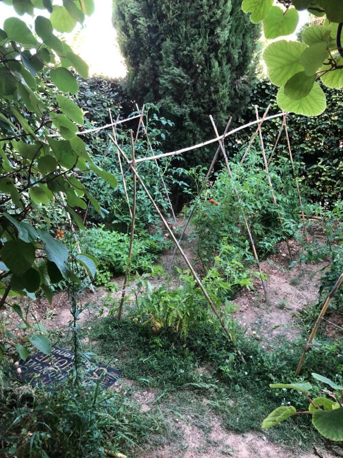 Beziers Appt Climatise Dans Residence Avec Piscine Eksteriør billede